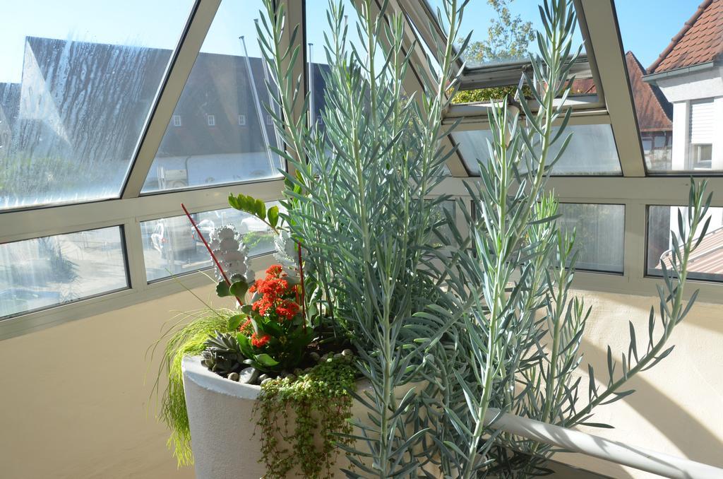 Hotel Ortel Gmbh Besigheim Extérieur photo