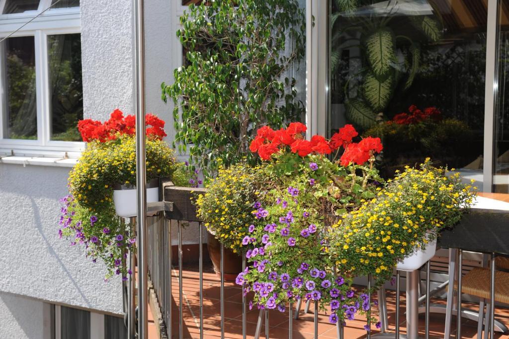 Hotel Ortel Gmbh Besigheim Extérieur photo